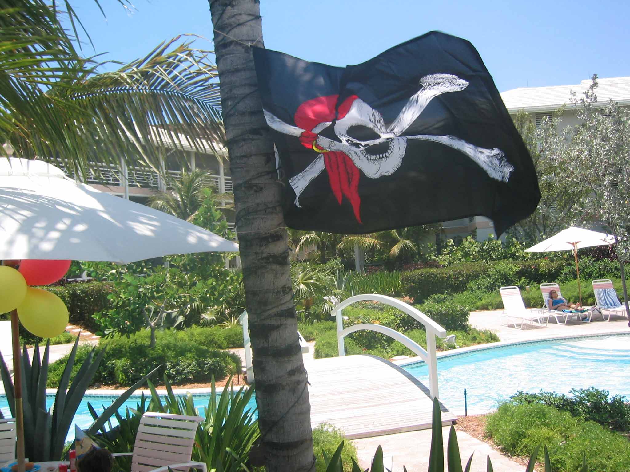 pirate_flag.jpg